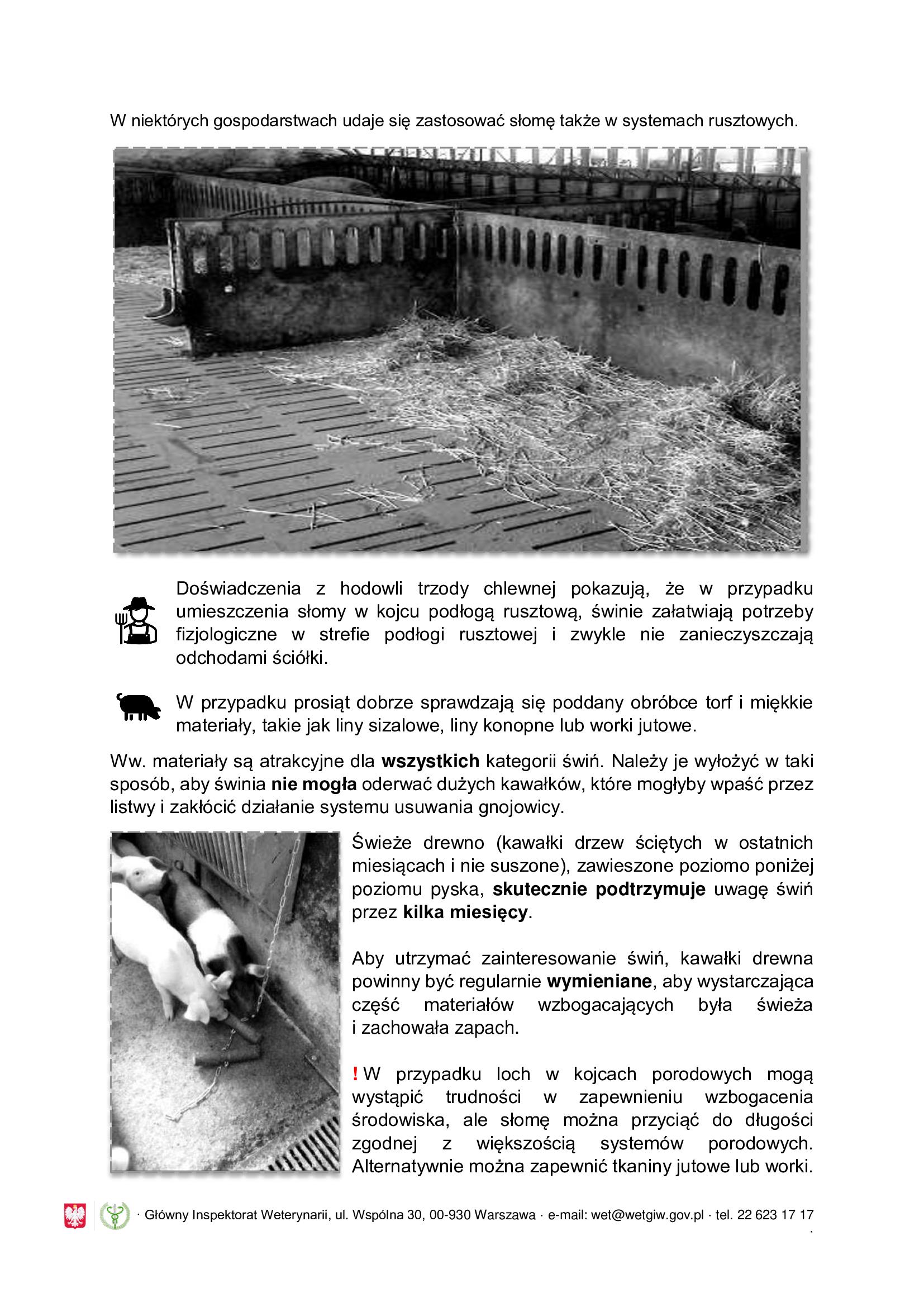 Obgryzanie ogonk&oacute;w u świń - informacja dla rolnik&oacute;w