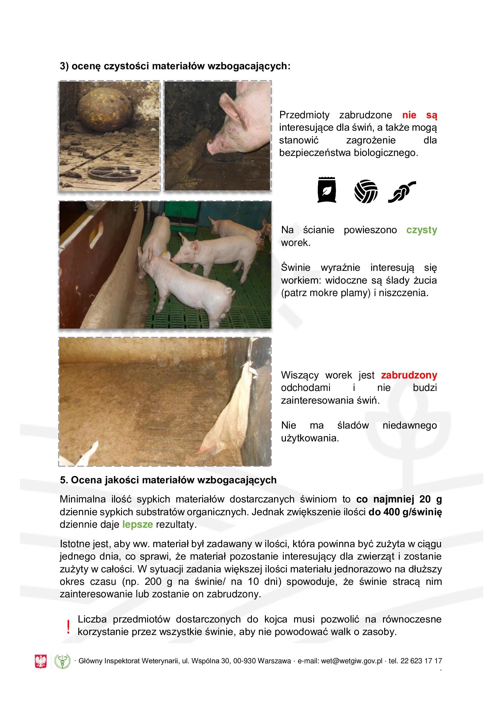 Obgryzanie ogonk&oacute;w u świń - informacja dla rolnik&oacute;w