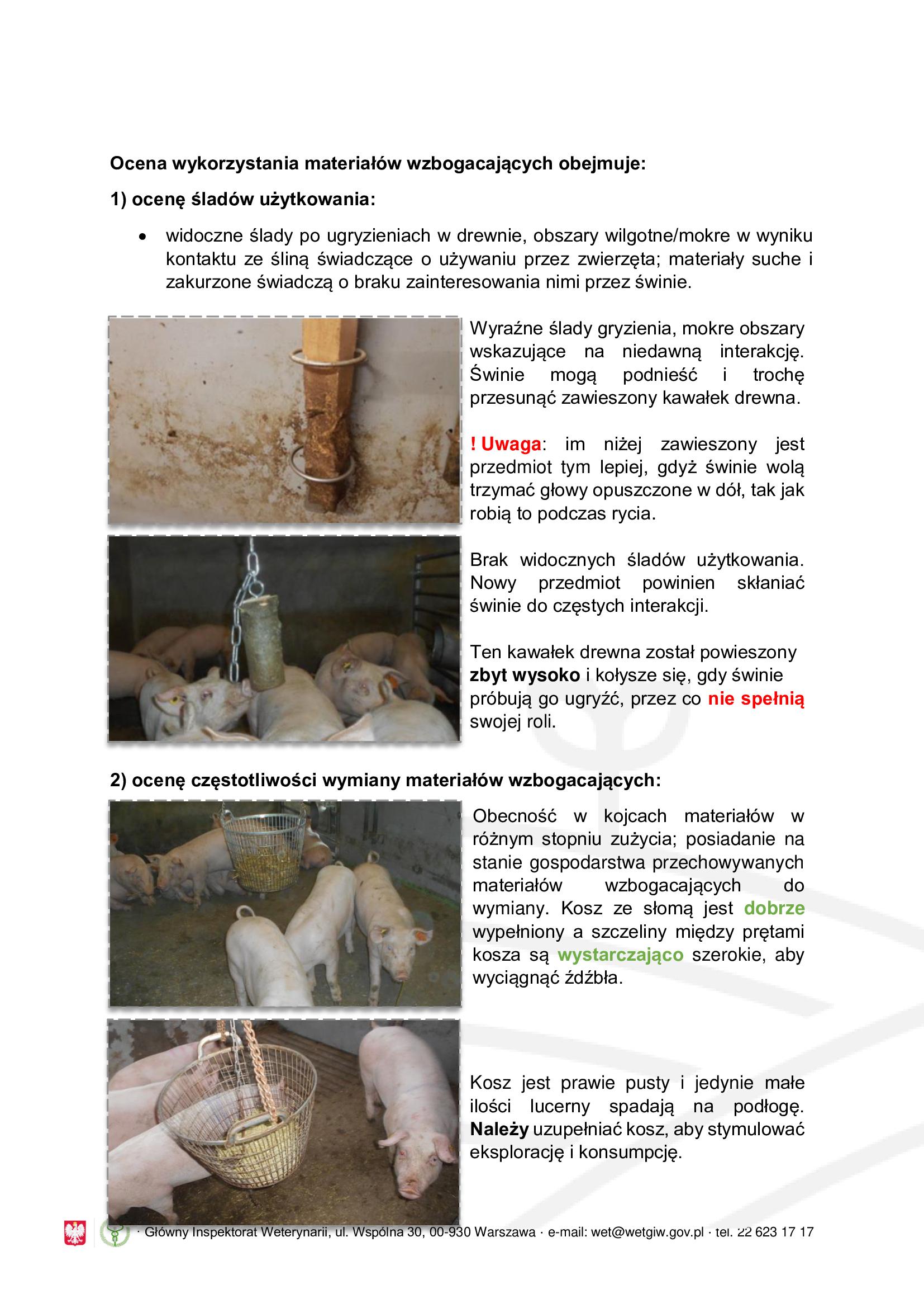 Obgryzanie ogonk&oacute;w u świń - informacja dla rolnik&oacute;w