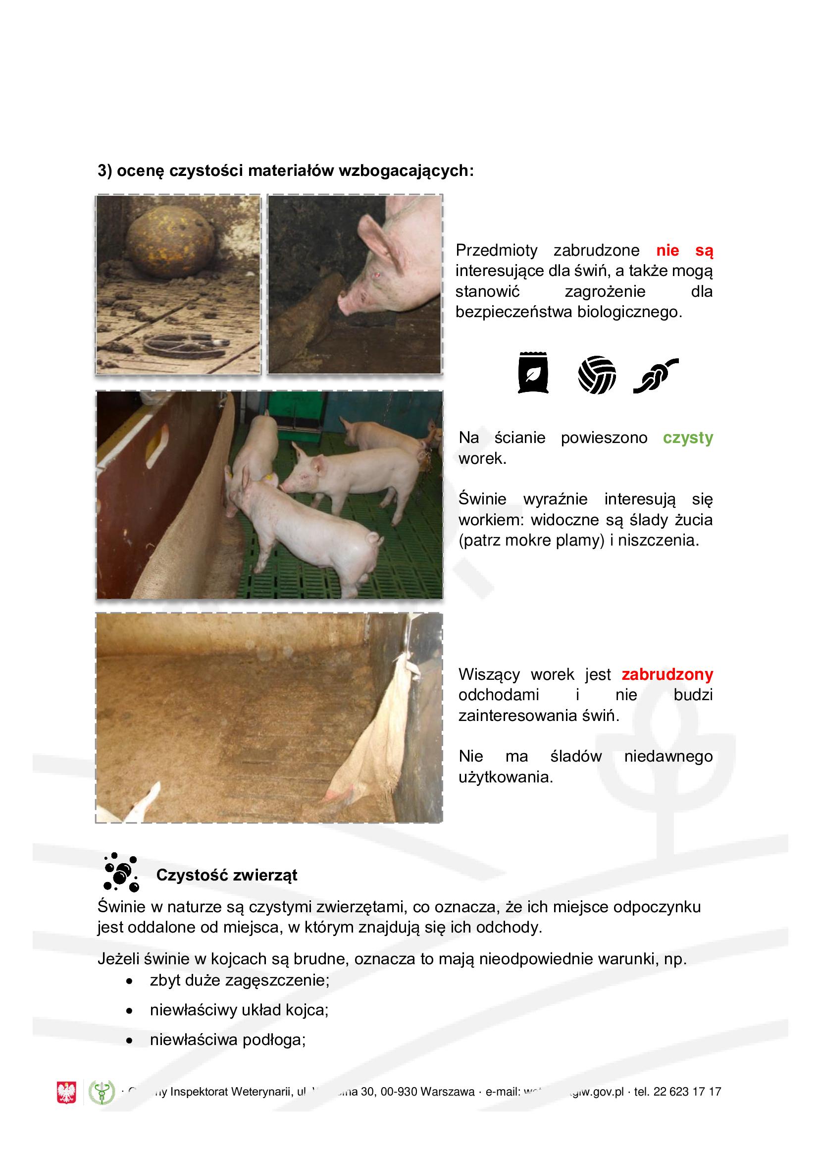 Obgryzanie ogonk&oacute;w u świń - informacja dla rolnik&oacute;w