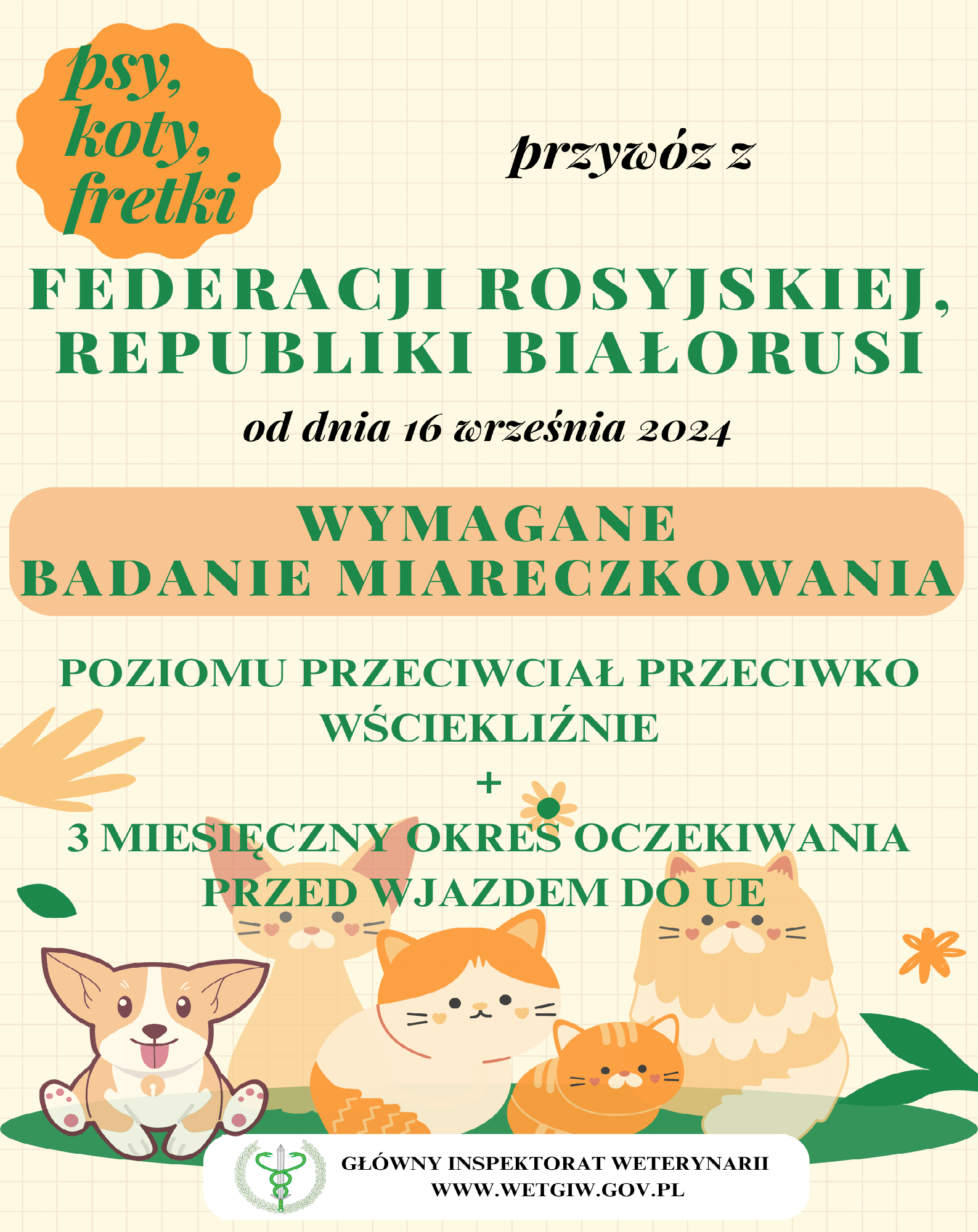 Plakat wersja PL