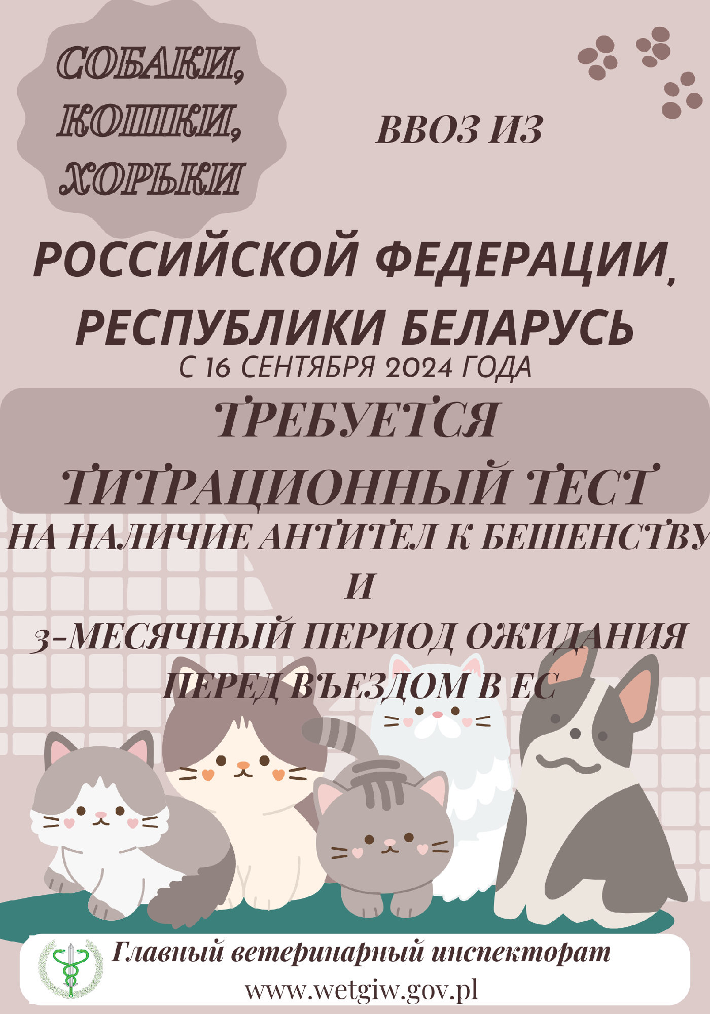 Plakat wersja RU